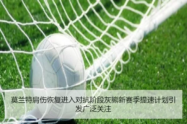 莫兰特肩伤恢复进入对抗阶段灰熊新赛季提速计划引发广泛关注