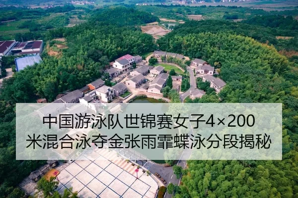 中国游泳队世锦赛女子4×200米混合泳夺金张雨霏蝶泳分段揭秘