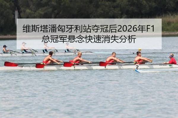 wei-si-ta-pan-xiong-ya-li-zhan-duo-guan-hou-nian-zong-guan-jun-xuan-nian-kuai-su-xiao-shi-fen-xi-2-594.jpg